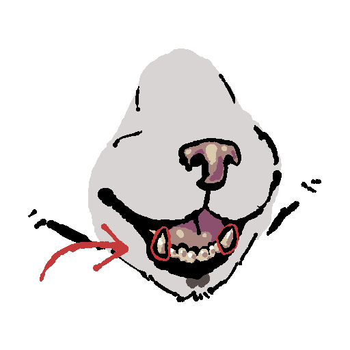 a cat's snout from the front. his mouth is open and there is a red outline around his fangs and a red arrow pointing to them
